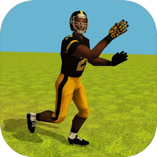 Football Simulator Rampage 3D 1.0