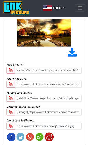 LinkPicture Upload Image Host screenshot 2