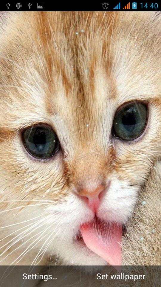 Cute Live Wallpaper screenshot 5