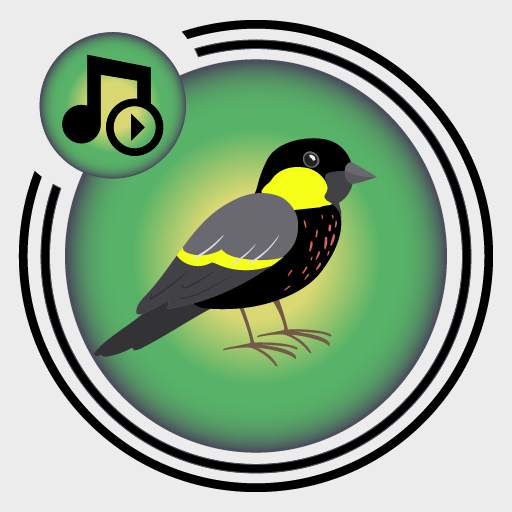 Birds ringtones, birds sound 1.12
