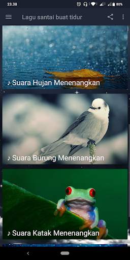 Lagu Santai Buat Tidur : Relaxing Music screenshot 3