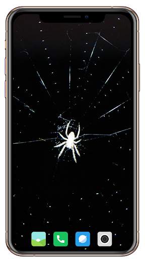 Spider Wallpaper screenshot 9