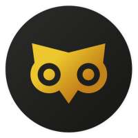 Owly for Twitter icon