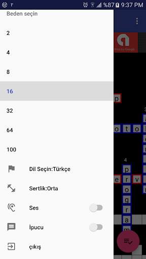 Bulmacalar screenshot 6