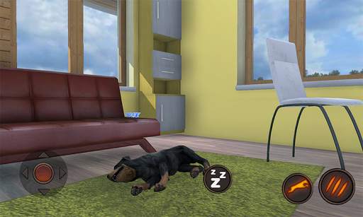 Simulator Anjing Rottweiler screenshot 7