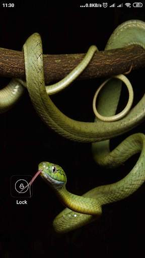 Snake Wallpaper screenshot 14