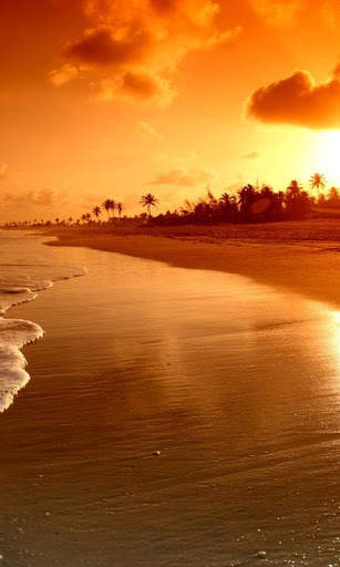 HD Beach Sunset Live Wallpaper screenshot 9