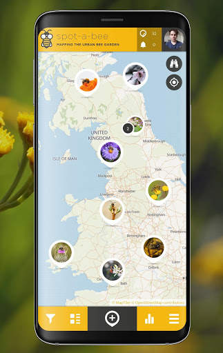 Spot-a-Bee  | SPOTTERON screenshot 1