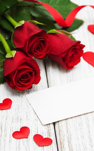 Red Rose Wallpaper screenshot 4