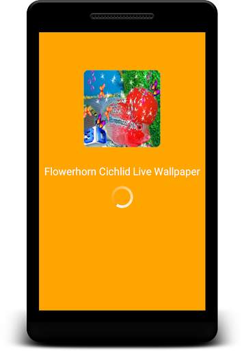 Flowerhorn Fish Live Wallpaper screenshot 1