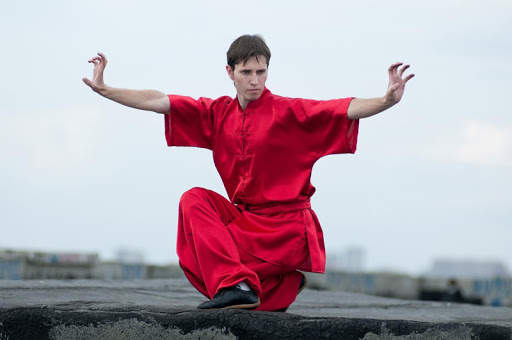 Learn Kung Fu Training 2020 1 تصوير الشاشة
