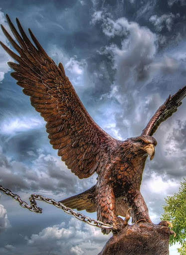 Eagle HD Wallpaper screenshot 2