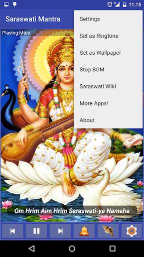 Maa Saraswati Mantra 4 تصوير الشاشة