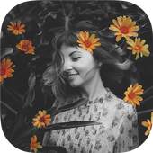 Picture Color Studio Pro 1.2.2