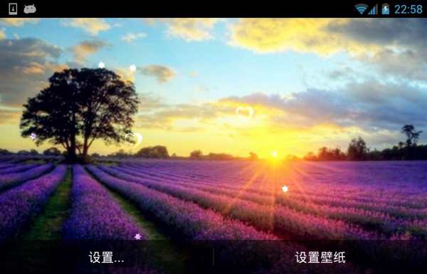 Lavender Live Wallpaper screenshot 6