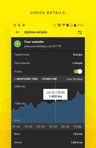 Pingdom screenshot 1