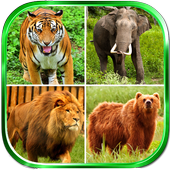 Animal Sounds icon