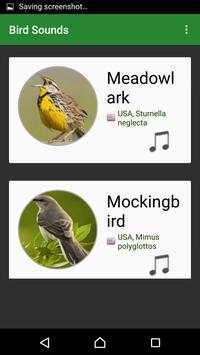 Bird Sounds screenshot 4