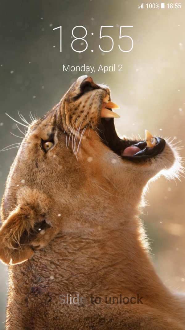 Lion Pattern Lock Screen screenshot 5