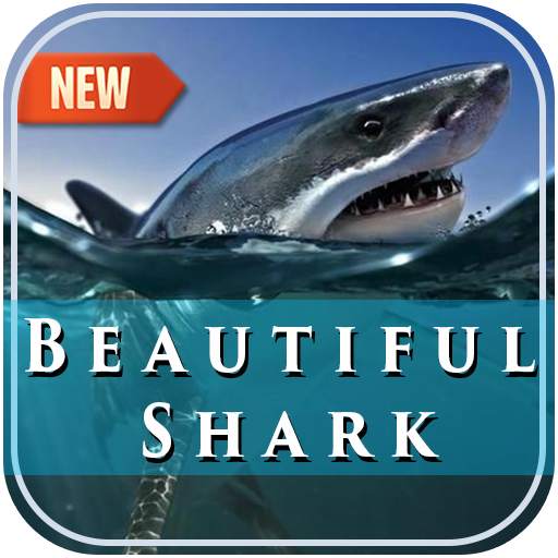 Beautiful Shark Photo Frame 1.0.3