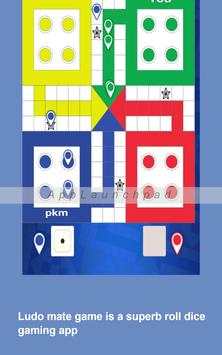 Ludo Mate screenshot 4