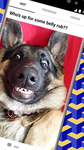9GAG: Funny gifs, pics, fresh memes & viral videos screenshot 2