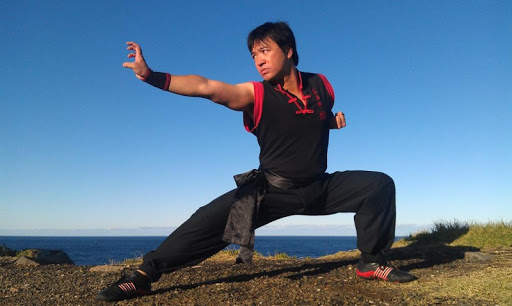 Learn Kung Fu Training 2020 3 تصوير الشاشة