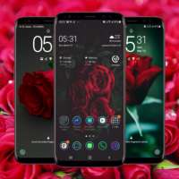 Red Rose Wallpaper
