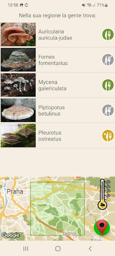 A funghi screenshot 5