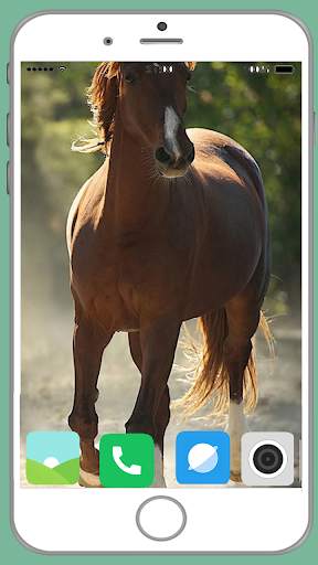 Horse Full HD Wallpaper screenshot 5
