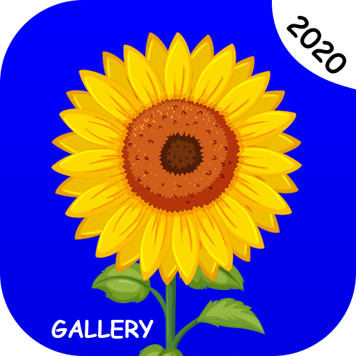 Gallery - Photo and Video Player आइकन