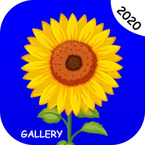 Gallery - Photo and Video Player 1.0