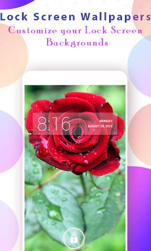 Rose Wallpapers HD screenshot 3