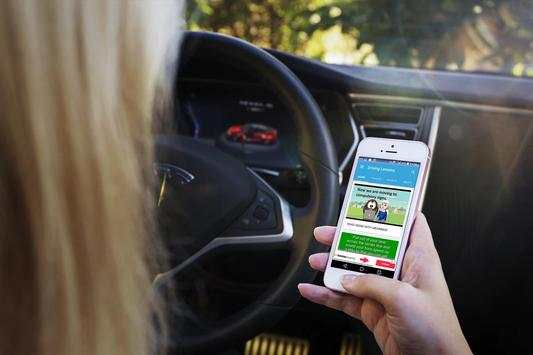 Real Driving Lessons screenshot 2