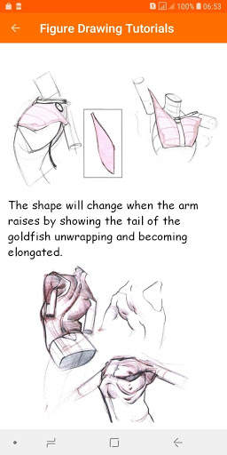 Learn Figure Drawing Tutorial screenshot 6