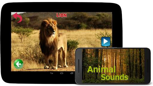 Animal Sounds screenshot 1