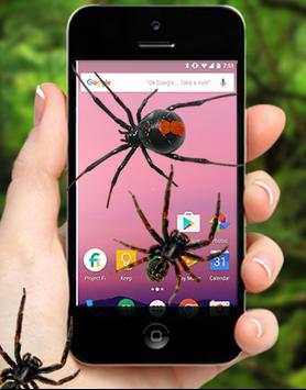 Spider On Screen Plus Funny Joke 2017 screenshot 2