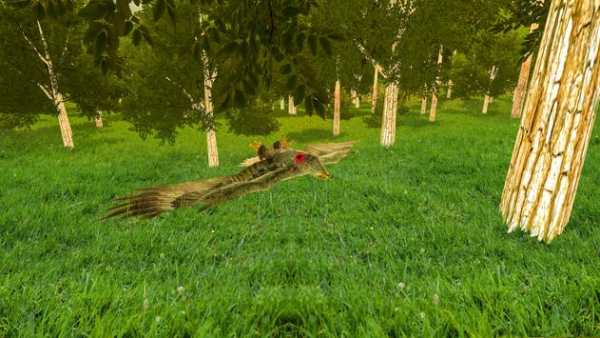 Eagle Bird Hunting Season 2017 screenshot 9