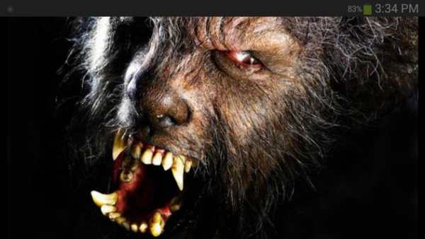 Werewolf Wallpaper screenshot 1