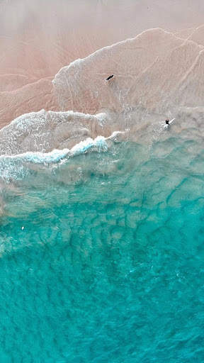 Nature Wallpaper screenshot 3