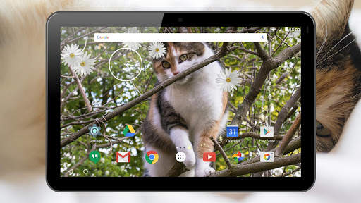 Cats Live Wallpaper screenshot 12