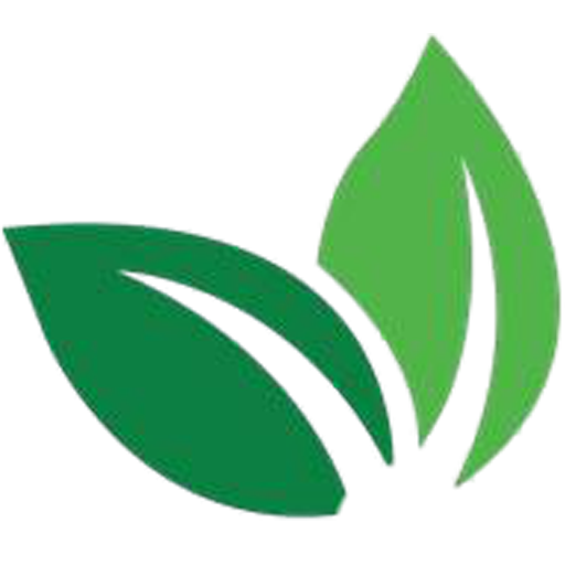 Dr Mint icon