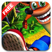 Crash Adventure icon