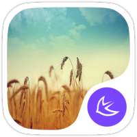 أحلام-APUS Launcher theme