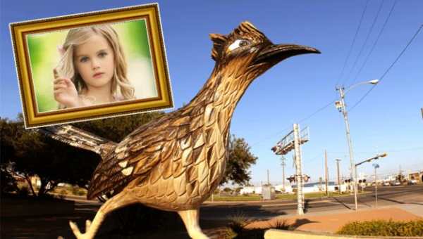America Photo Frames 3 تصوير الشاشة