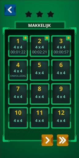 Einsteins Riddle Logicaraadsel screenshot 7
