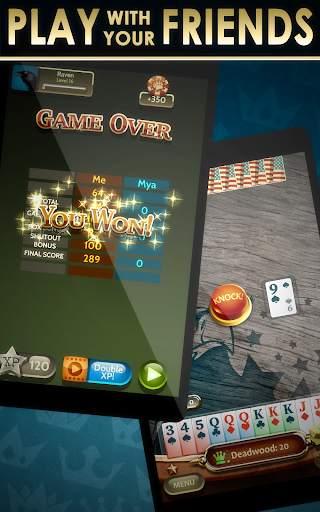 Gin Rummy screenshot 8