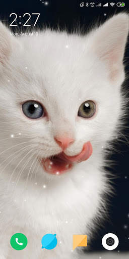 Cat Live Wallpaper screenshot 1