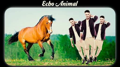 Echo Animal Effect : best echo 6 تصوير الشاشة