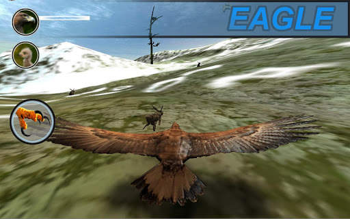 eagle SURVIVAL vr SIM screenshot 7